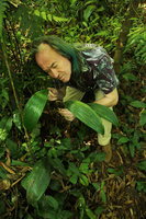 Patrick Blanc observing a big leaved Peliosanthes, Putao, Kachin, Myanmar, Dec. 2017