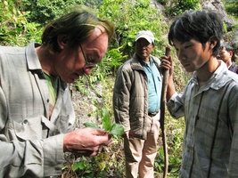 Patrick Blanc observing a botanical sample, Halong Bay, Vietnam, Jan. 2007