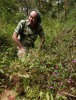 Patrick Blanc observing a bright pink Impatiens, Hang Cop Waterfall, Dalat, Vietnam, Nov. 2019