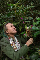 Patrick Blanc observing a Callicarpa with bright purple baccate fruits, the Peak, Hong Kong, Dec 2015