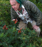 Patrick Blanc observing Acanthus sennii, Bale NP, 2300 m asl, Ethiopia, Jan. 2019