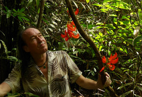 Patrick Blanc observing a cauliflorous Mucuna bennettii in swampy forest, Karawari, Sepik, Papua New Guinea, March 2016