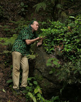 Patrick Blanc observing Aeschynanthus acuminatus covering a rock close to a waterfall, Yangtai Shan, Shenzhen, China, July 2017