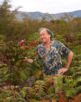 Patrick Blanc observing a flowering Poikilogyne arfakensis, Anggi Lakes, 2000 m asl, Arfak Mts, West Papua, May 2025