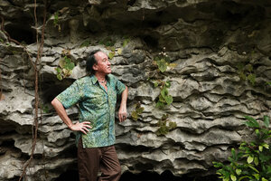 Patrick Blanc observing a flowering population of Begonia siccacaudata on a shaded vertical karst cliff, Rammang Rammang, Maros, South Sulawesi, June 2019