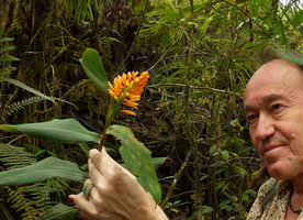 Patrick Blanc observing a flowering Riedelia suborbicularis vel aff, Rondon Ridge, 2000 m asl, Mount Hagen, Papua New Guinea, March 2016