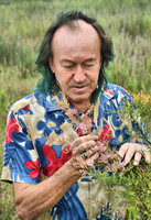 Patrick Blanc observing a flowering specimen of Tamarix chinensis on the future project site, Qingdao, China, July 2015