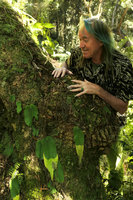 Patrick Blanc observing a low epiphytic population of Streptocarpus cf. goetzei, the distal part of each phyllomorph withering during the dry season, Zomba, Malawi, Aug. 2017