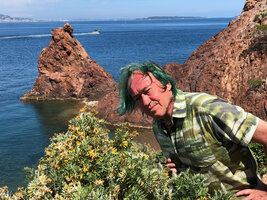 Patrick Blanc observing Anthyllis barba-jovis, PN de l&#039;Aiguille, Theoule, France, June 2021
