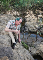 Patrick Blanc observing a patch of Cryptocoryne crispatula var. crispatula with Homonoia riparia in the foreground and Telectadium dongnaiense in the background, Ben Cu rapids, Dong Nai river, Cat Tien NP, Vietnam