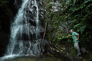 Patrick Blanc observing a population of Monolena elliptica on a vertical cliff under the continuous spray of the waterfall, Mashpi FR, Pichincha, Ecuador, Aug. 2021