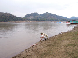 Patrick Blanc observing aquatic plants in the Mekong river, Vientiane, Laos, Jan. 2012
