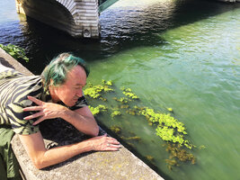 Patrick Blanc observing aquatic plants in the Seine river, Paris, July 2020