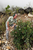 Patrick Blanc observing a shrubby flowering Hauya heydeana, San Cristobal Verapaz, Alta Verapaz, Guatemala, Dec. 2019