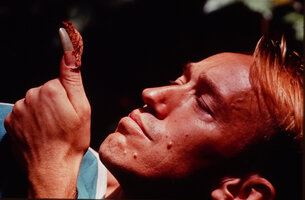 Patrick Blanc observing a tiny chamaeleon, Canopy Raft expedition, Campo, Cameroon, Sept. 1991