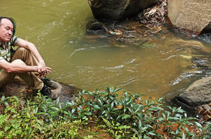 Patrick Blanc observing a vegetatively cerpeting rheophytic Ficus of the Ficus ischnopoda alliance, Hang Cop Waterfall, Dalat, Vietnam, Nov. 2019
