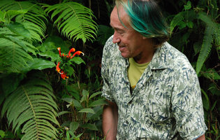 Patrick Blanc observing Centropogon solanifolius, Tenorio,  Costa Rica, Dec 2010