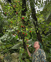 Patrick Blanc observing Crantzia cristata climbing along a tree trunk, Route de l'Habituée, Basse Terre, Guadeloupe, Feb. 2026
