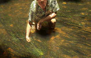 Patrick Blanc observing Crinum natans in its rheophytic habitat, Kribi, Cameroun, March 2018