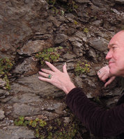 Patrick Blanc observing cushions of Saxifraga paniculata in vertical rock cracks, Grisons, Switzerland, May 2016