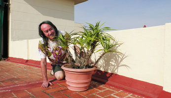 Patrick Blanc observing Dracaena cubensis cultivated on the terrasse of a hotel, Cienfuegos, Cuba, Feb. 2017