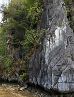 Patrick Blanc observing Dracaena multiflora on a vertical karst cliff in front of the sea, Lagen, El Nido, Palawan, Philippines, April 2026