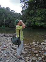 Patrick Blanc observing epiphytes with binoculars, Ulu Temburong, Brunei, March 2012