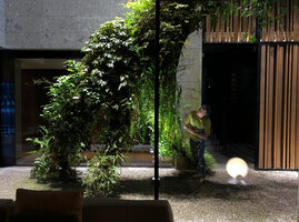 Patrick Blanc observing his Racines Echasses at Il Sereno, Como Lake, Italy, June 2021