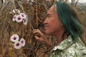 Patrick Blanc observing Ipomoea shirambensis, South Luangwa NP, Zambia, Sept. 2017