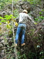 Patrick Blanc observing karst dwelling species, Halong Bay, Vietnam, Jan. 2007