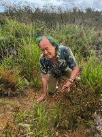 Patrick Blanc observing Melastoma cyanoides in upland savanna, Anggi Lakes, 2000 m asl, Arfak Mts, West Papua, May 2025