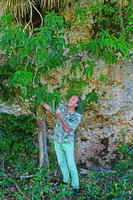Patrick Blanc observing Rhytidophyllum crenulatum, a Habana area endemic species, hanging from its vertical limestone habitat, Escaleras de Jaruco, Cuba, Feb. 2017