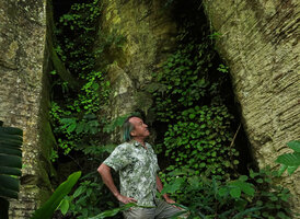 Patrick Blanc observing Streptocarpus (syn. Saintpaulia) ionanthus subsp. grotei growing in the shaded and humid mossy sunken surfaces of vertical gneiss cliff, Emau Hill, Amani, East Usambara, Tanzania, Jan. 2021