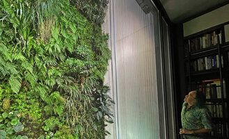 Patrick Blanc observing the 14 years old vertical garden in the patio through the glass wall, Istanbul, Seot. 2021