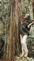Patrick Blanc observing the aerial system of the very thick roots of Gaussia princeps on mogotes, Valle de Vinales, Cuba, Feb. 2017.jpeg