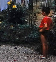 Patrick Blanc observing the blooming roses in the family garden, Montauban, France, Aug. 1957