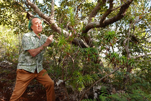 Patrick Blanc observing the branched Dracophyllum ramosum, Mont Dore, New Caledonia, Aug. 2023
