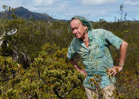 Patrick Blanc observing the branching pattern and the foliage of Retrophyllum minus, Riviere Bleue, Chutes Madeleine, New Caledonia, Aug. 2023