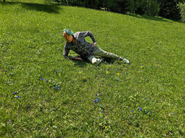Patrick Blanc observing the bright blue flowers of Gentiana acaulis, St Moritz, Switzerland, June 2025