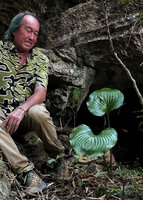 Patrick Blanc observing the bright green shiny leaves of Proiphys amboinensis at the base of a karst boulder, Southern part of Mt Mundo Perdido, Timor-Leste, Aug. 2026