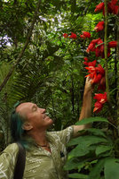 Patrick Blanc observing the bright red cauliflorous racemose Passiflora involucrata, Calanoa, Leticia, Colombia, Nov. 2016