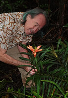 Patrick Blanc observing the bright salmon bracts and the young female spadices of Freycinetia cumingiana in forest understory, Balinsasayao Twin Lakes, Negros Oriental, Philippines, Jan. 2025