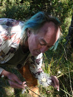 Patrick Blanc observing the bright white feathery inflorescence of Plectocephalus varians, Simien NP, Ethiopia, Jan. 2019