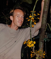 Patrick Blanc observing the bright yellow flowers of Salacia zenkeri, a cauliflorous liana in same habitat as Cercestis blancii during the Radeau des Cimes mission, Campo, Cameroon, Oct. 1991