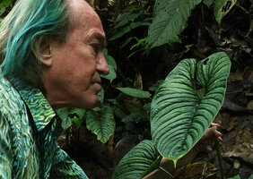 Patrick Blanc observing the bullate leaf of Philodendron lynnhannoniae, Mashpi FR, Pichincha, Ecuador, Aug. 2021