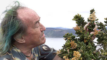 Patrick Blanc observing the bullate leaves and the dense inflorescences of Spiraeanthemum pulleanum, Anggi Lakes, 2000 m asl, Arfak Mts, West Papua, May 2025