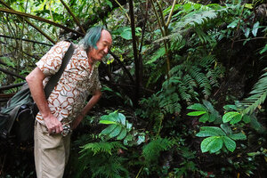 Patrick Blanc observing the bullate leaves with deeply impressed bright green veins of Elatostema spinulosum, Balinsasayao Twin Lakes, Negros Oriental, Philippines, Jan. 2025