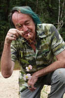 Patrick Blanc observing the Dalechampia schippii  inflorescences, Mountain Pine Ridge Reserve, Belize, Jan. 2020