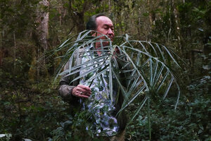 Patrick Blanc observing the deeply dissected narrow lobes of the pedate multipartite leaf of Tacca artocarpifolia, Anjozorobe Angavo, Madagascar, Aug. 2024