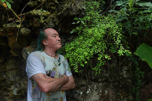 Patrick Blanc observing the ferny foliage of Phyllanthus cochinchinensis growing on shaded vertical karst cliff, Railay, Phang Nga, Thailand, March 2022